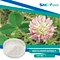 Red clover (Trifolium pratense) is a type of flowering plant that belongs to the legume family. It is often used as a dietary supplement due to its various health benefits.